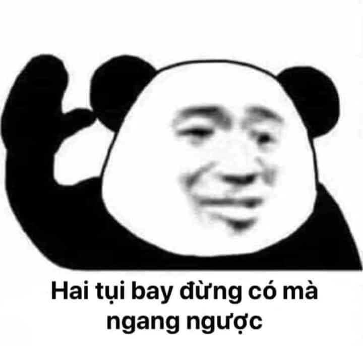 Meme Gấu Trúc Bựa Weibo Trung Quốc, Troll Face, Chúc Ngủ Ngon