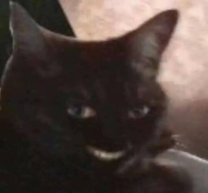 Meme mèo cười đểu nhe răng ha ha nhếch mép nham hiểm